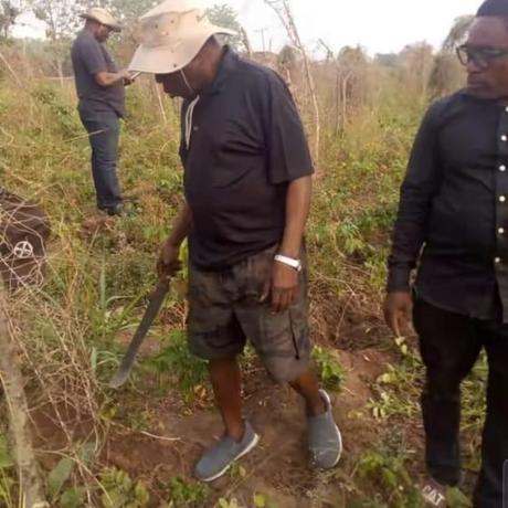 Former President, Olusegun Obasanjo Spotted Harvesting Yam In His Farm In Ogun [Photos]