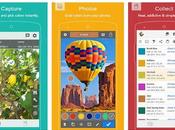 Best Color Identifier Apps (Android/IPhone) 2020