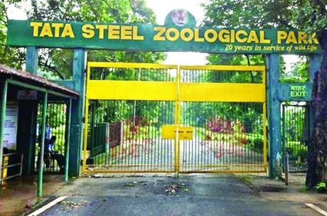 Jubilee Park, Tata Zoological Park, Nicco Jubilee Park – Jamshedpur – Timings, Entry Fees, History, Facts