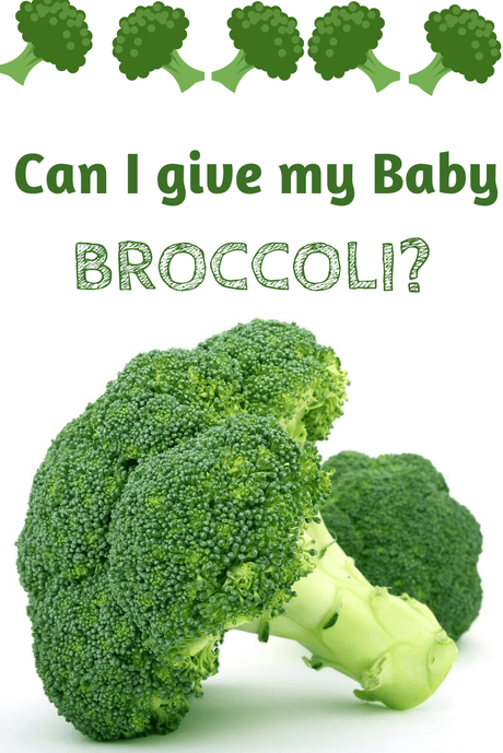 Broccoli is a vegetable that kids often have trouble with, so Moms prefer introducing it early. But can I give my baby broccoli? Let's find out!