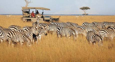 kenya-masai-mara-4