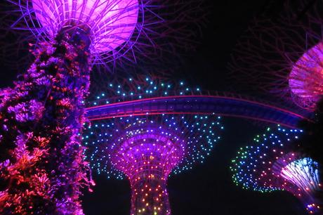 Travel Guide Budget and Itinerary for Singapore