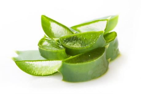 Aloe Vera's Nutrients Can You With Healthy Hair Growth