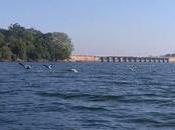 Tilaiya Dam, Jhumri Telaiya, Koderma, Jharkhand Places Visit, Reach, Things Photos