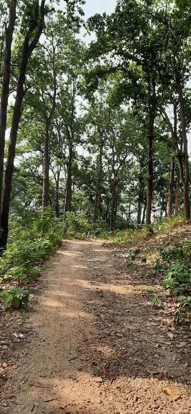 Phuldungri Hill Ghatshila, Jharkhand – Places to Visit, How to reach, Things to do, Photos