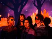 Elephant Stone: Keep Light Alive