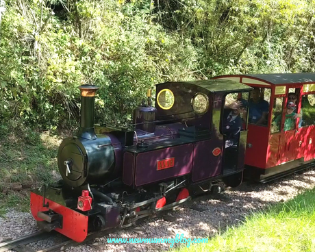 Perrygrove Railway Review