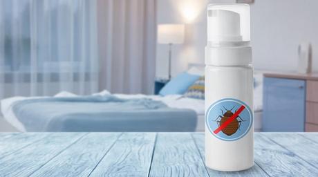 How to Get Rid of Bed Bugs Naturally: 8 Proven Ways