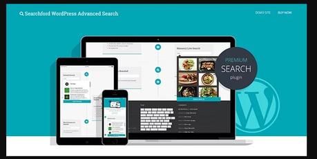Best Free And Premium WordPress Search Plugins Of 2020 Searchford