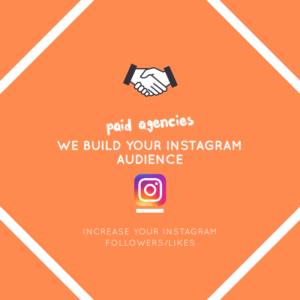 paid services to get more instagram followers 2018