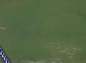 Matt Renshaw's Boundary Catch Takes Cricket World Storm