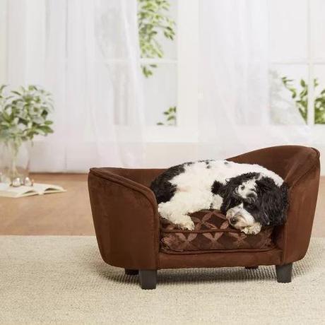 Tips For Choosing Dog-Friendly Living Room Furniture