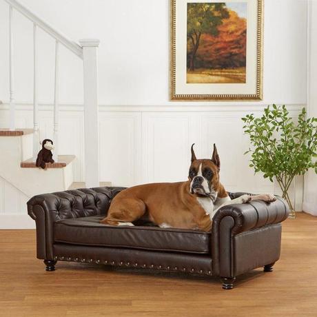 Tips For Choosing Dog-Friendly Living Room Furniture