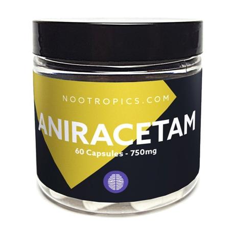 Where to Buy Aniracetam- Top 4 Vendors