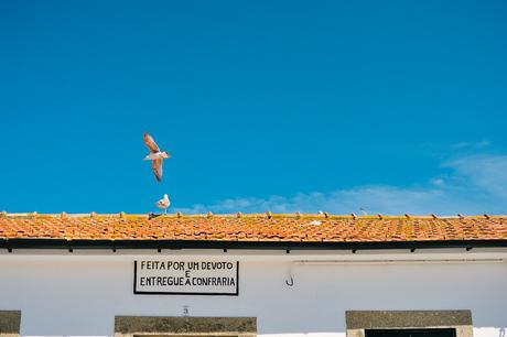 #EverydayPortugal, Month 8