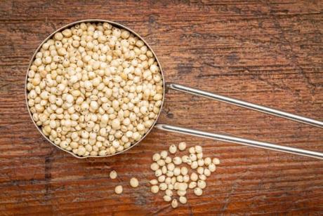 13 Surprising Health Benefits of Sorghum (Jowar) For Your Health and Body