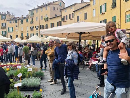 5 Things To Do In Lucca, Italy & Where To Stay