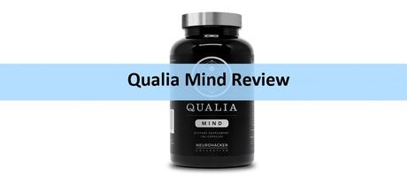 Qualia Mind Review: 4 Flaws You Should Take Note Of