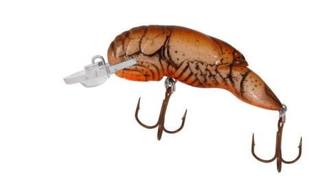 Best Trout Bait – Top 5 Effective Baits