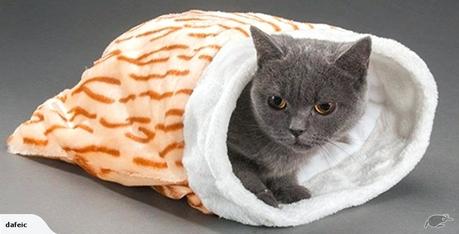 snuggle cat bed cool and snooze bag