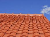 Much Does Roof Inspection Cost?