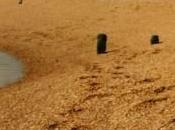 POEM: Dissolving Past