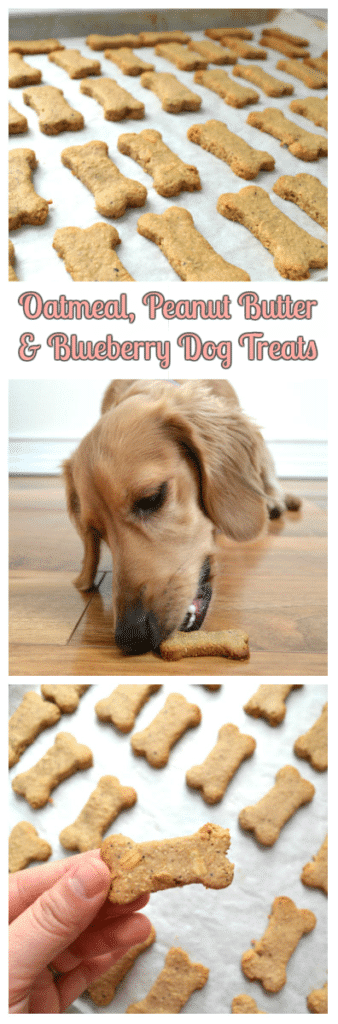 Oatmeal Peanut Butter & Blueberry Dog Treats