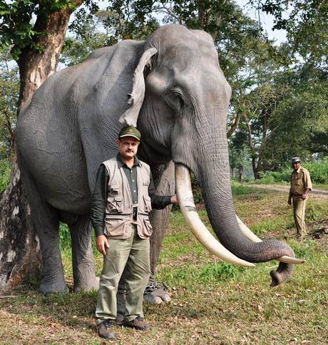 Assam's Elephant Doctor conferred PadmaShri 2020