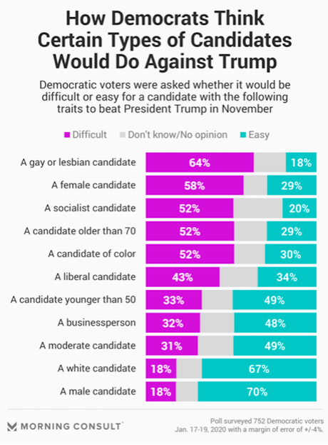 Views Of Democrats On Who Could Beat Trump