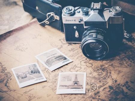 How to Protect Your Dog From Rabies How to Protect Your Dog From Rabies