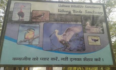 Udhwa Bird Sanctuary,  Sahebganj – Places to Visit, How to reach, Things to do, Photos