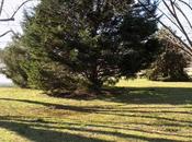 Prata Potpourri: Diapers Doxology, Gilley Reviews Girl, What That Couple Shows More