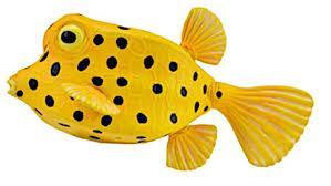 Mercedes Benz, Bionic Car,  Boxfish and Thinking