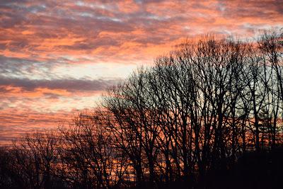 Yet Another Sunrise--Thank Goodness!