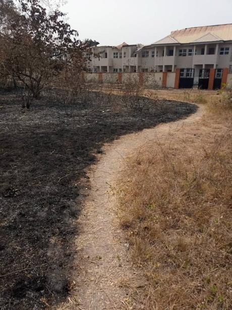PHOTONEWS: Fire Razes Fed Poly Ede female hostel