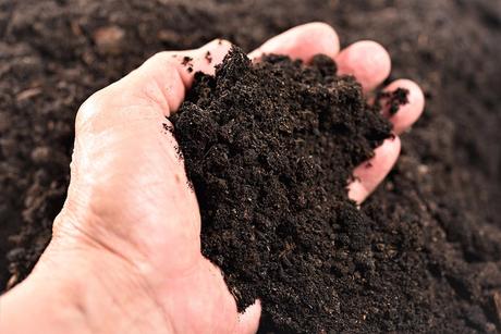 Composting Yard Waste – Recycle in Your Garden!