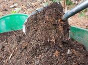 Composting Yard Waste Recycle Your Garden!