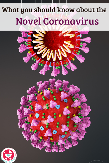 With the Coronavirus infection spreading, we need to be armed with information about it. Here's everything you need to know about the Novel Coronavirus.