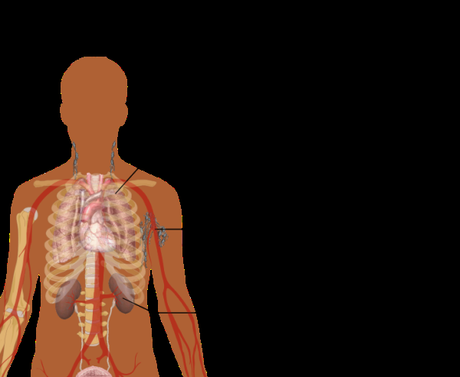 With the Coronavirus infection spreading, we need to be armed with information about it. Here's everything you need to know about the Novel Coronavirus.