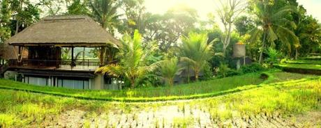 Get High on the 8 Natural Ecstasy in Bali as a Vacation Getaway