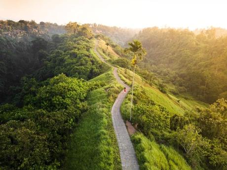 Get High on the 8 Natural Ecstasy in Bali as a Vacation Getaway