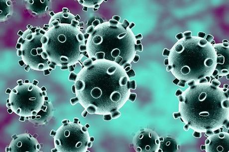 How Deadly are Coronavirus and its Effect