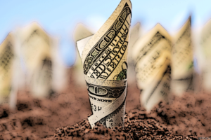 Dividend Investing: What You Need to Know