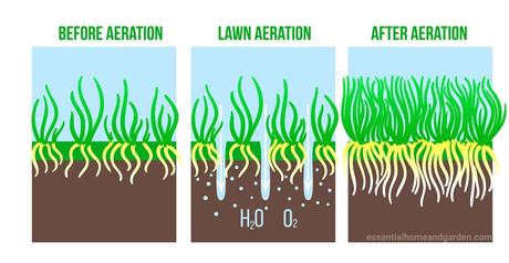 A Simple 4-Step Fall Lawn Care Schedule