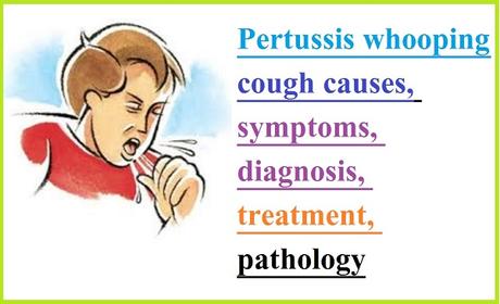 Pertussis whooping cough causes, symptoms, diagnosis, treatment, pathology 