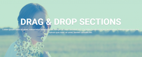 45 Outstanding Lawyer WordPress Themes For Law Firms In 2020 One page