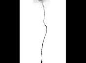 Amazing Technology Total Body Scanner with 100ms Resolution.