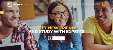 Top 10 WordPress LMS Themes MasterStudy LMS Theme