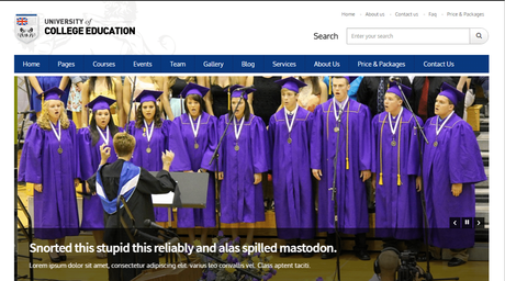 LMS Theme create elearning website