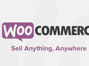 Should WordPress Your E-commerce Store?